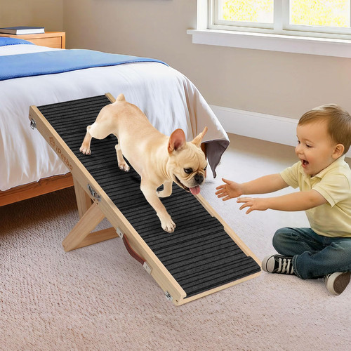 Dog ramp for sofa - for, small
