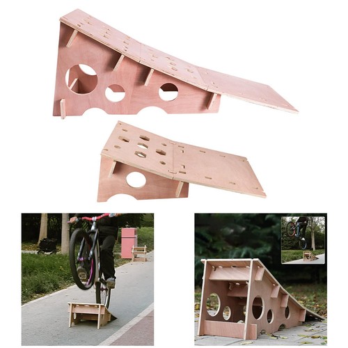 Professional mountain bike - professional,