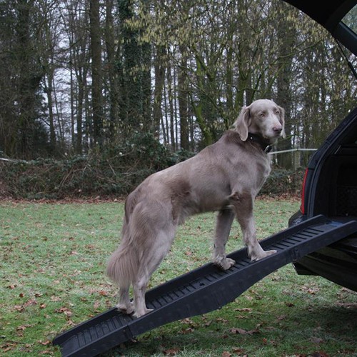 Nobby dog ramp - dog, 40x152cm